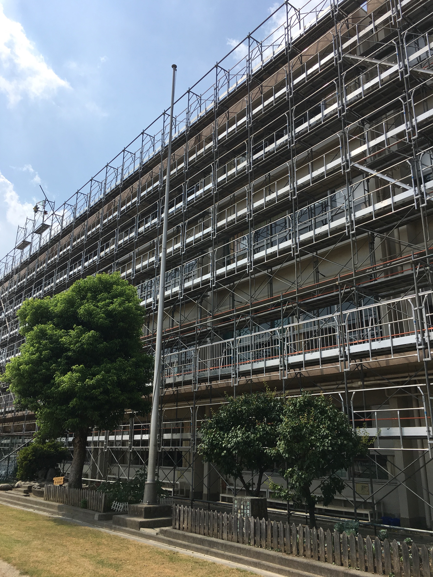 杉森小学校